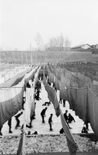 Load image into Gallery viewer, HAN YOUNGSOO: Dongdaemun, Seoul, Korea 1956-1963
