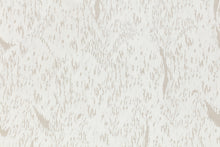 Load image into Gallery viewer, PARK CHEL HO: Circulation 2
